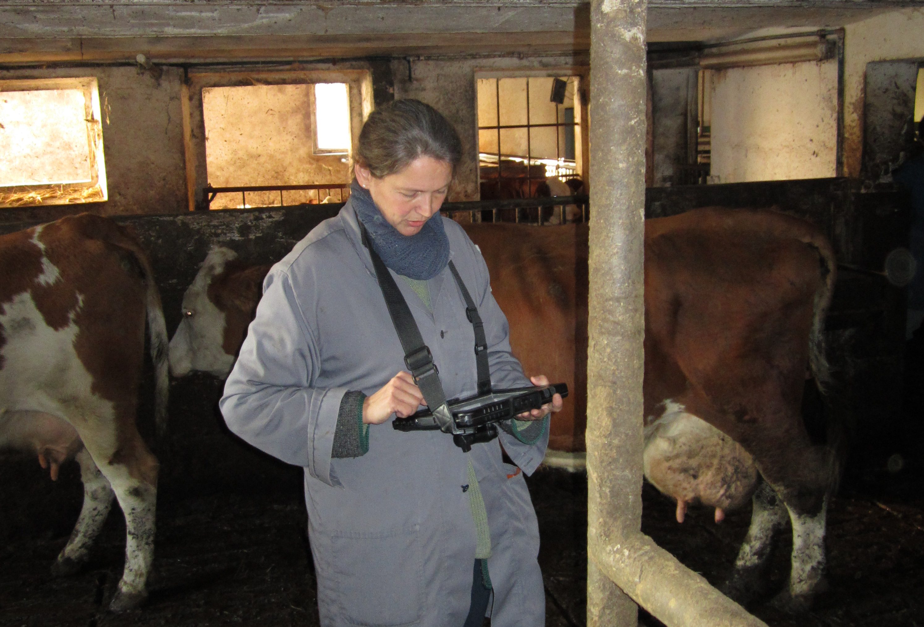 iPad controle veterinaire élevage